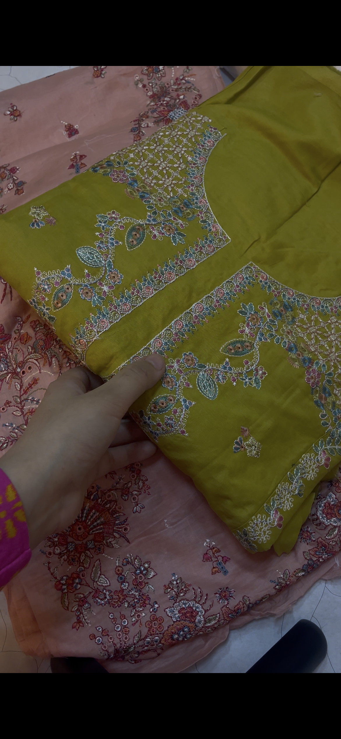 Hussain rehar parrot greenish